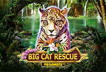 Big Cat Rescue Megaways™